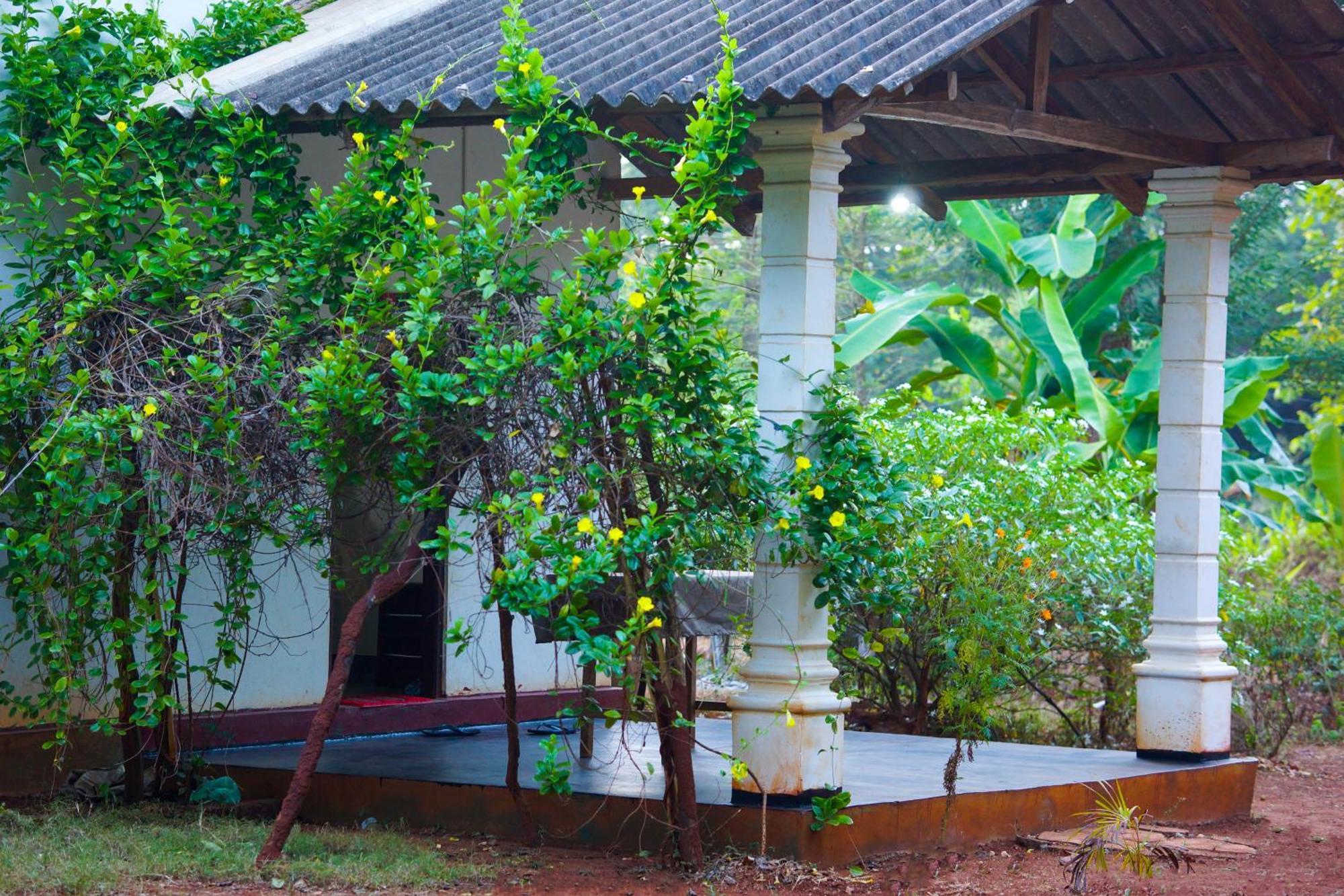 Senu Homestay Sigiriya Exterior photo